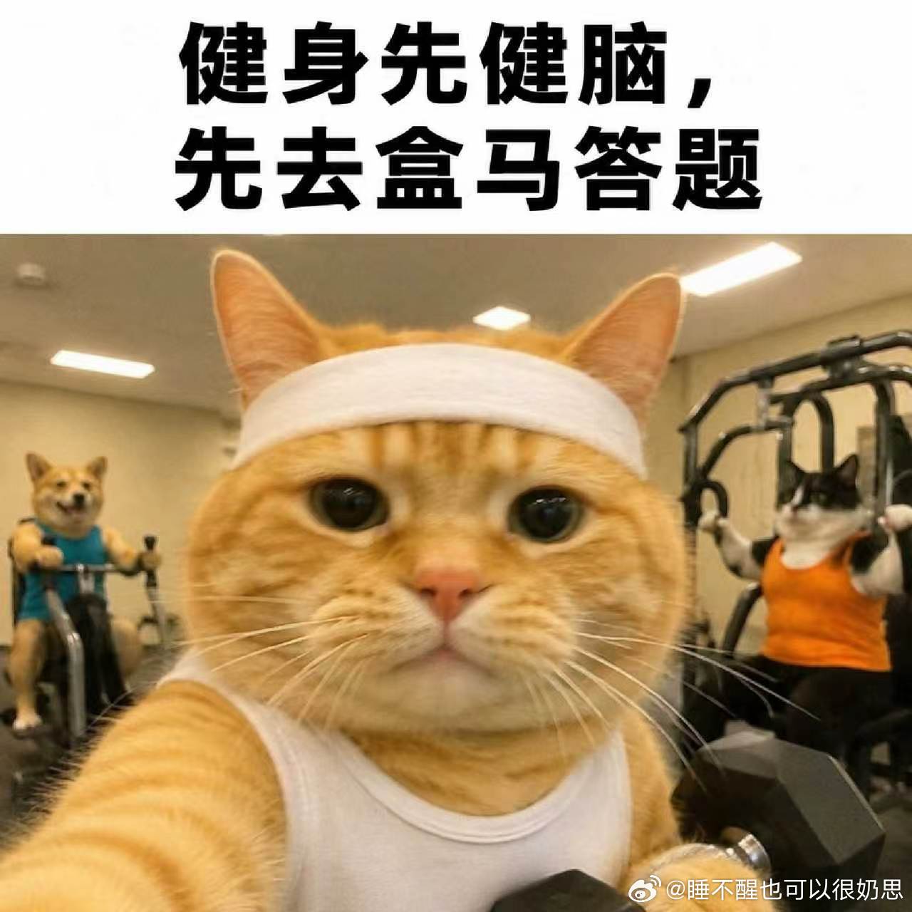 健身圈都被GI值整懵了 刚在盒马碰一下答完牛奶那道题，我第一反应又错了，我发现我