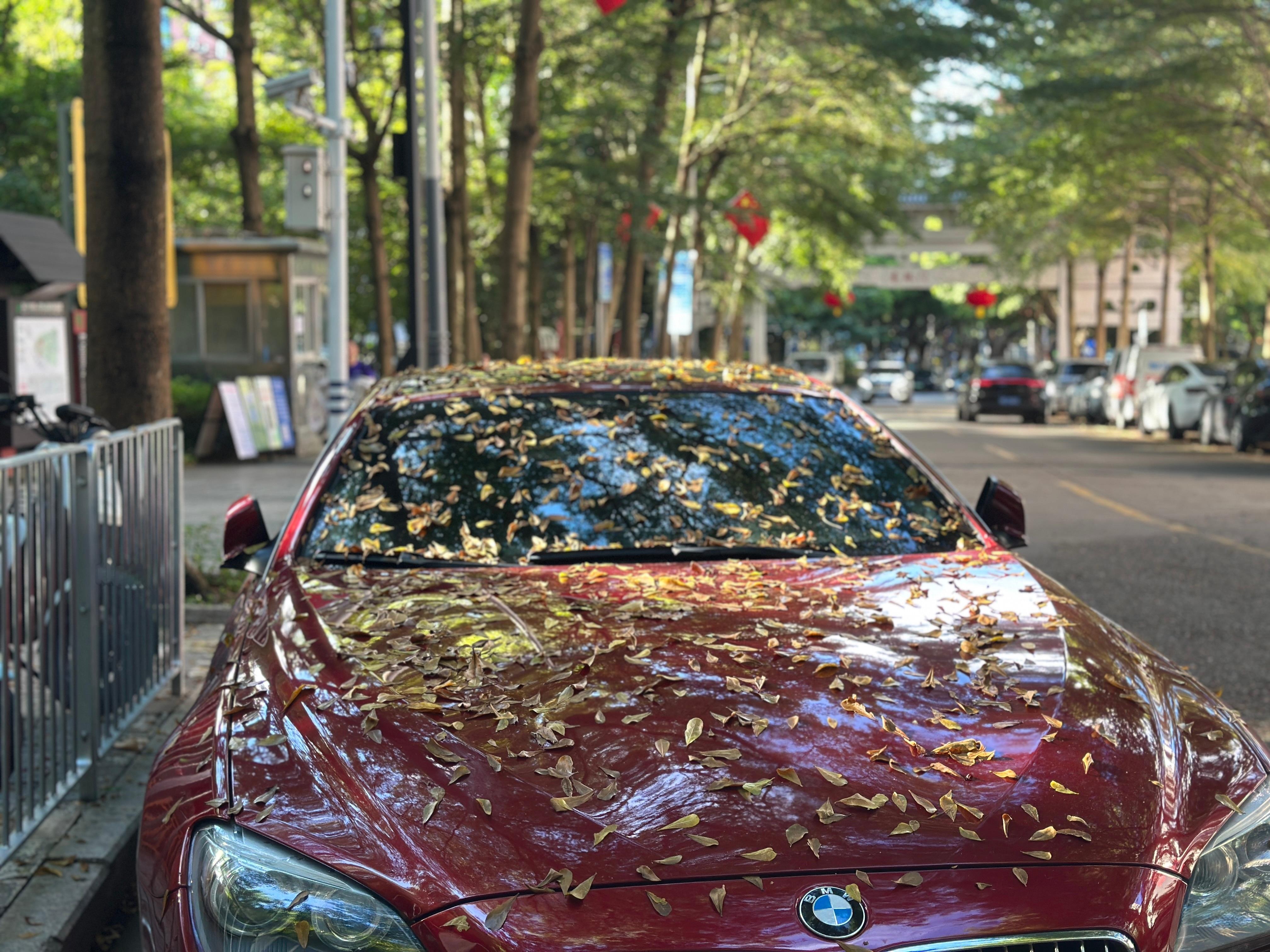 秋意渐浓[微风]汽场全开bmwsky[超话]秋意浓‍随手拍 ​​​