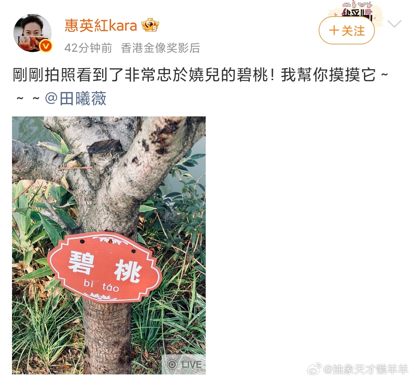 红红也在追小宝的嫁金钗啊！嫁金钗 ​​​