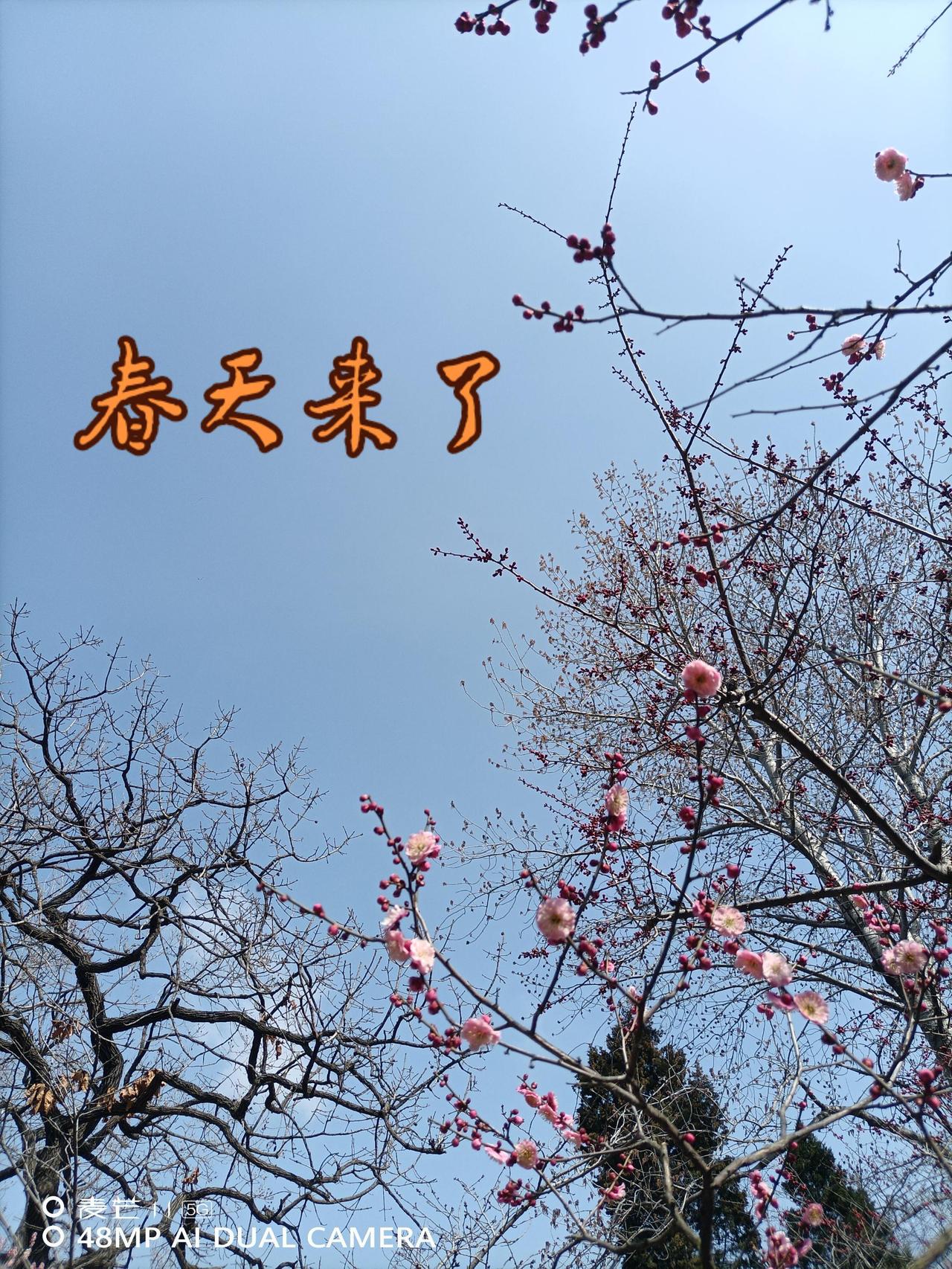 自然之美摄影日记 我用摄影看世界 享受大自然 原创