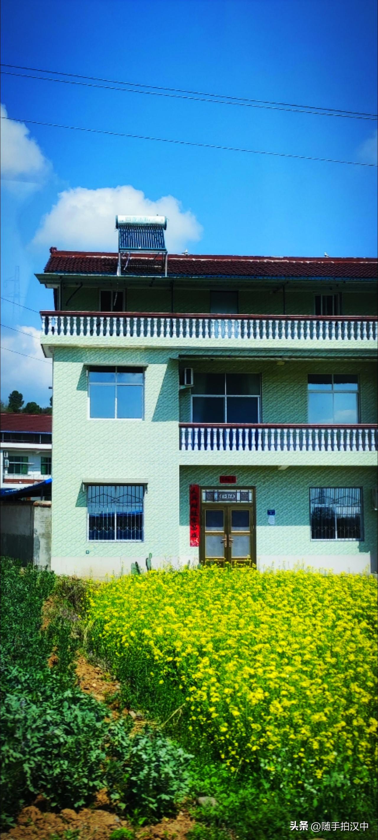 春日正浓，晴天烈日，清晰分明的样子。这个季节的生命有很多色彩，明亮的、奔放的，不