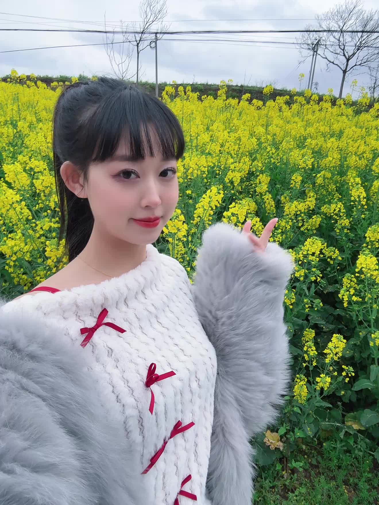 限定款🌼