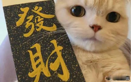 vplus足球狂欢季每日足球推荐竞彩足球 泰超19:00 武里南联vs农布阿皮查