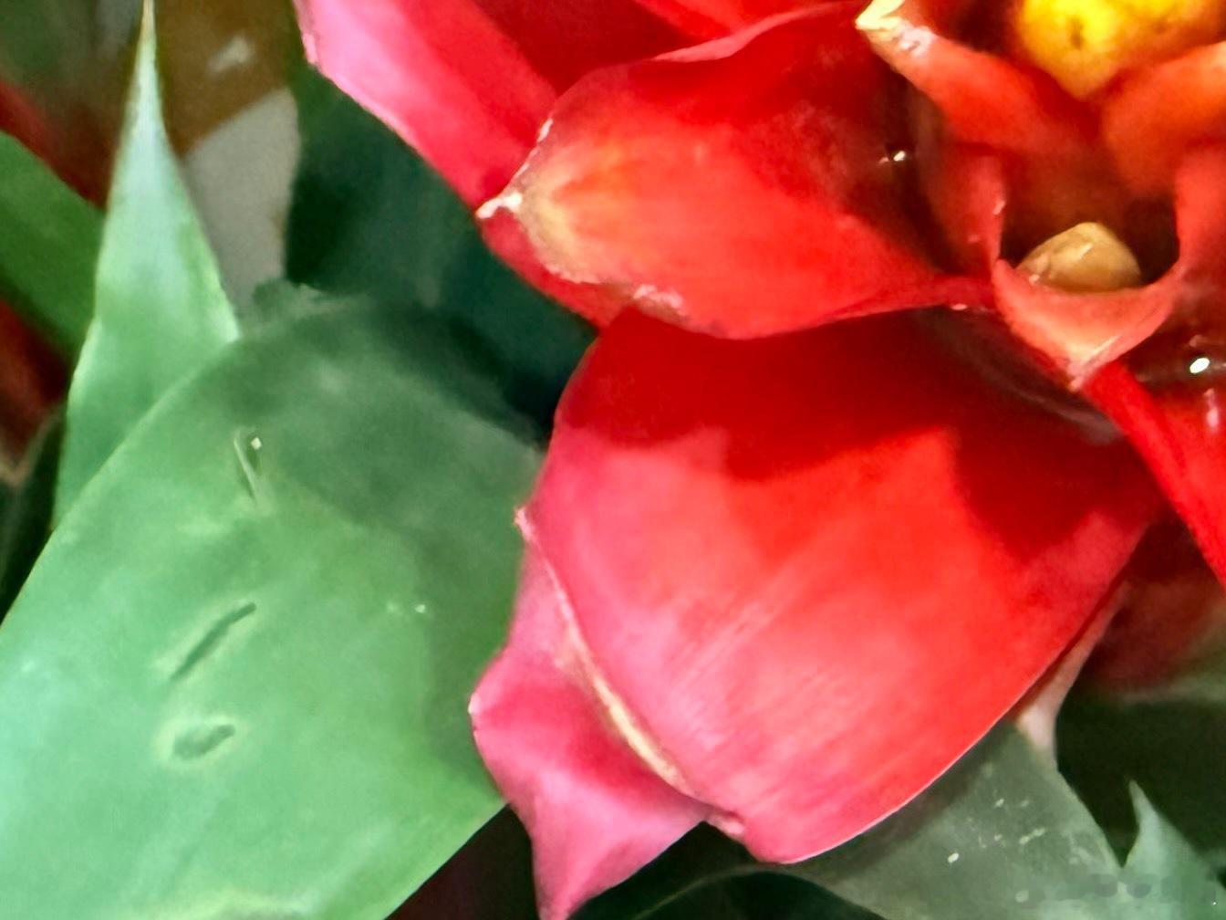 存善念，说善言，行善事。 