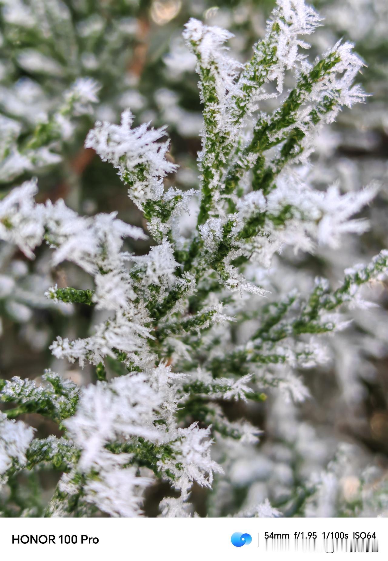下了一场雪，证明了荣耀100pro的实力
    谁还说荣耀10pro拍照不好了