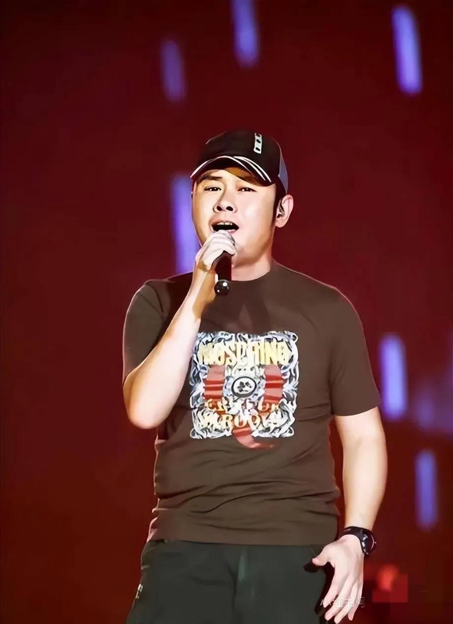 刀郎演唱会海报铺满大街小巷的时候，我正坐在咖啡馆循环播放《2002年的第一场雪》