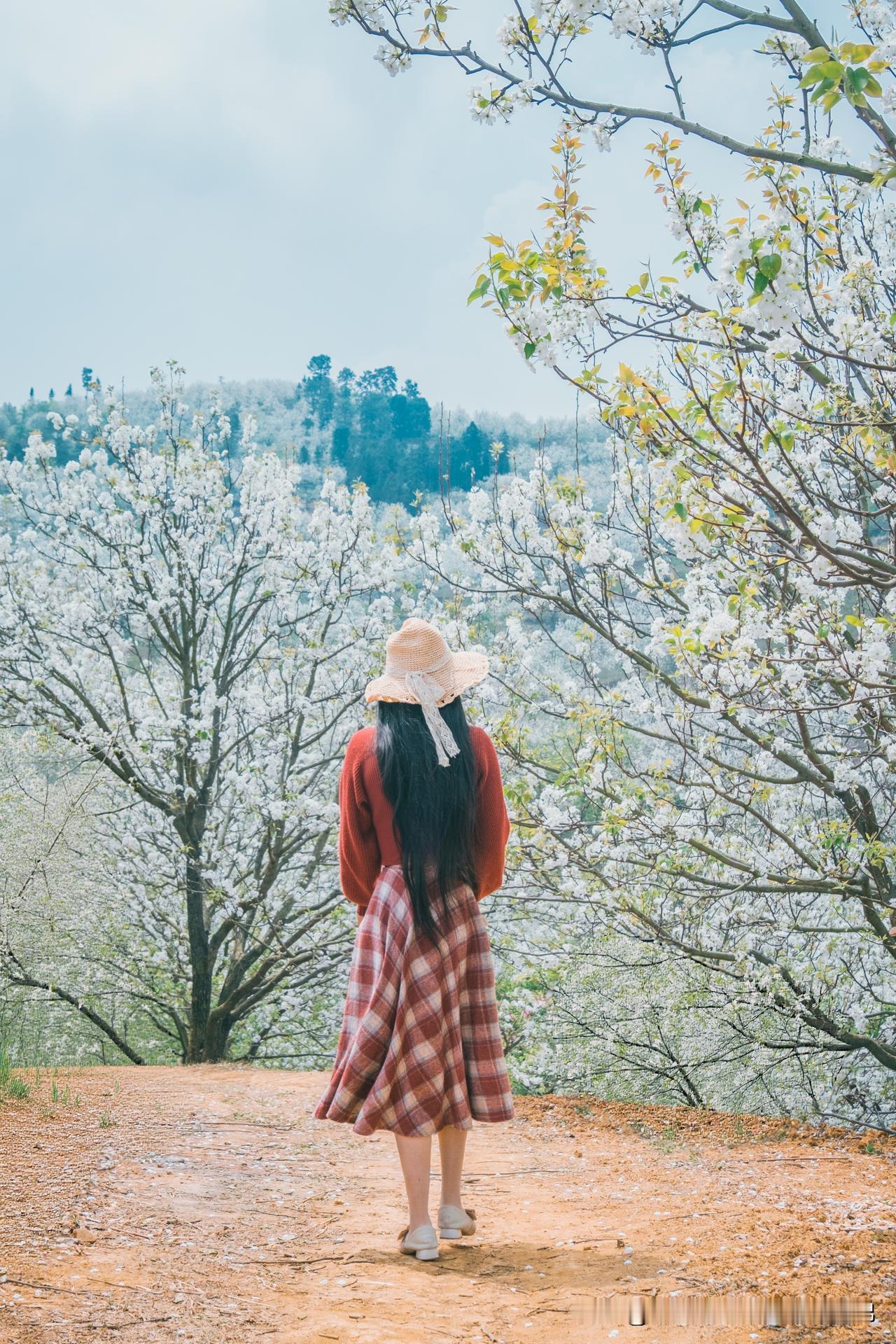 自驾云南｜快来加级寨做梨花谷中的仙女！

自驾游爱好者看过来，就在云南省红河州，