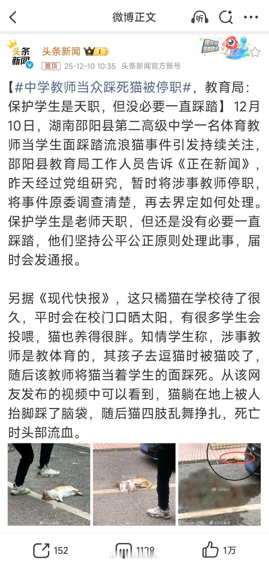 为啥每次人和流浪猫冲突都是人被停职？还有好几次保安处理流浪狗被开除的。管和不管都