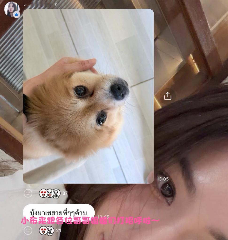 EnjoyJune🐈⬛🐶enjoyjune 可爱的狗狗 也想你宝宝🤏🤏 