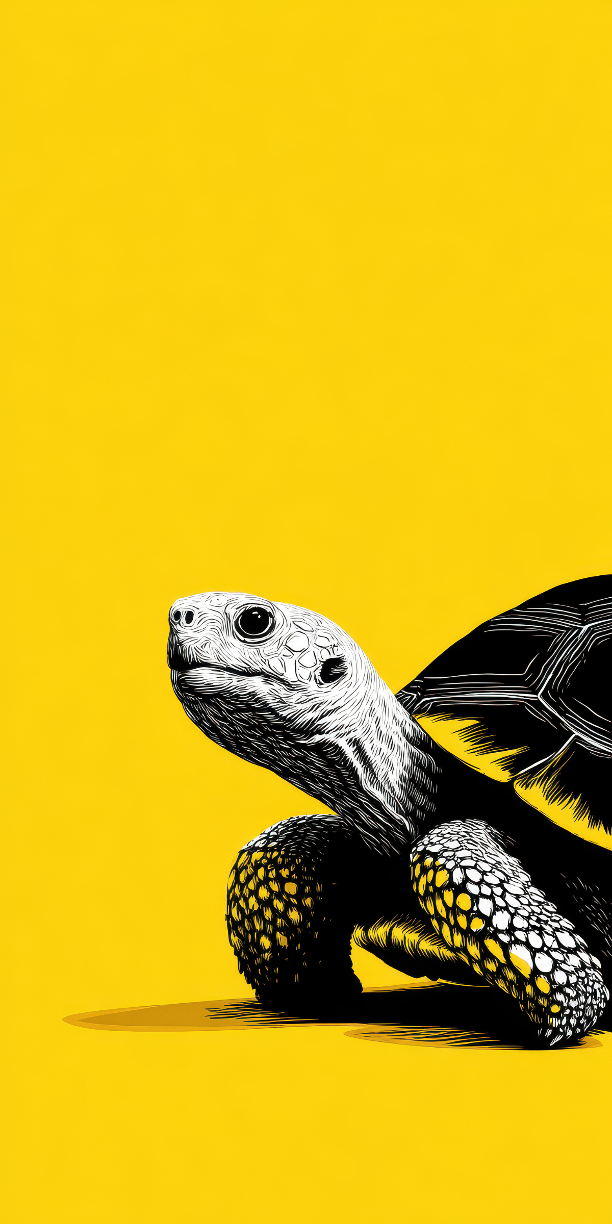 送你一张长寿壁纸，放在锁屏，延年益寿今日冰壁纸 ​​​