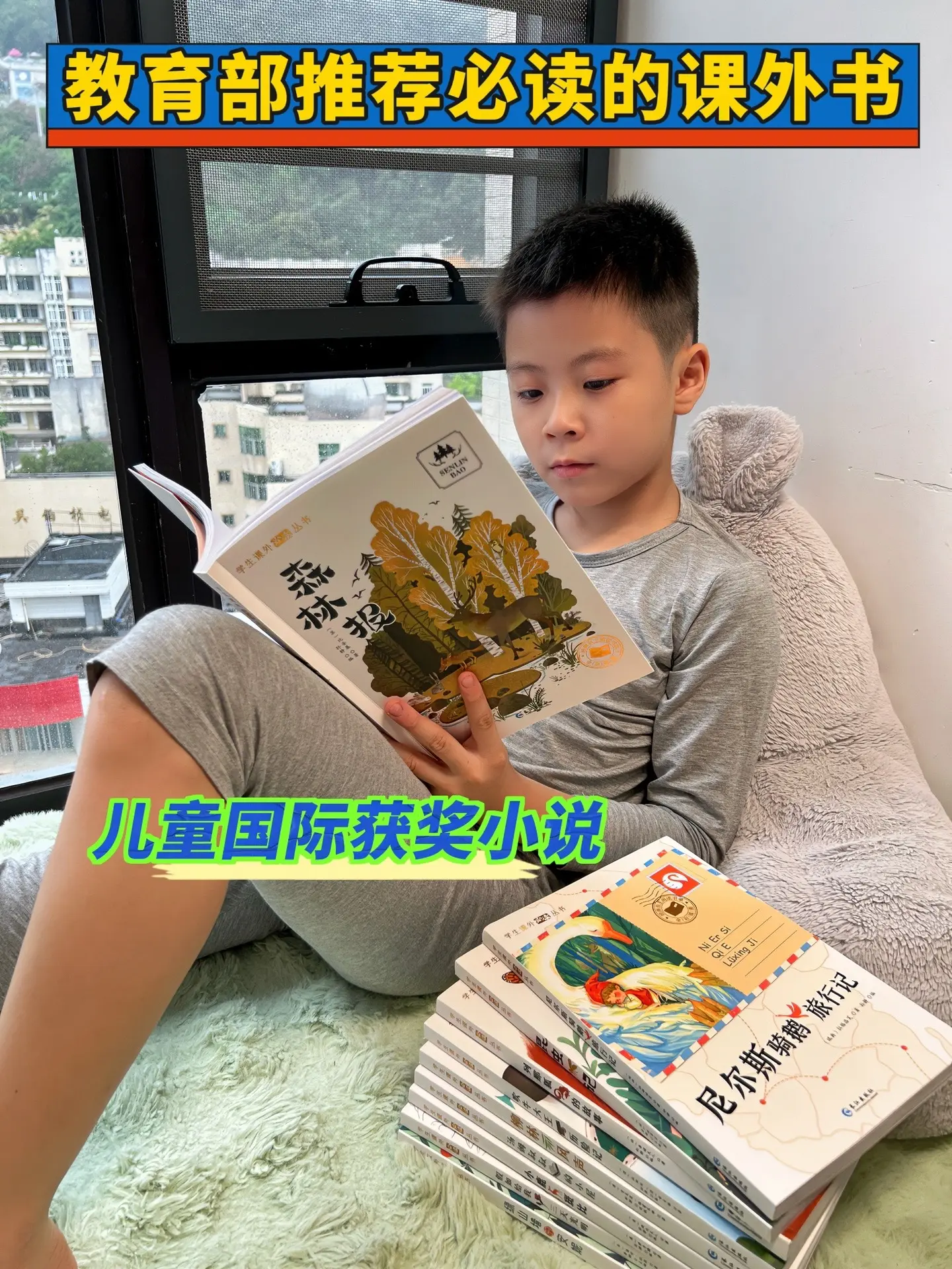 这套全10本《国际获奖儿童小说》太值了，没有一本凑数的！紧跟新课标，是...