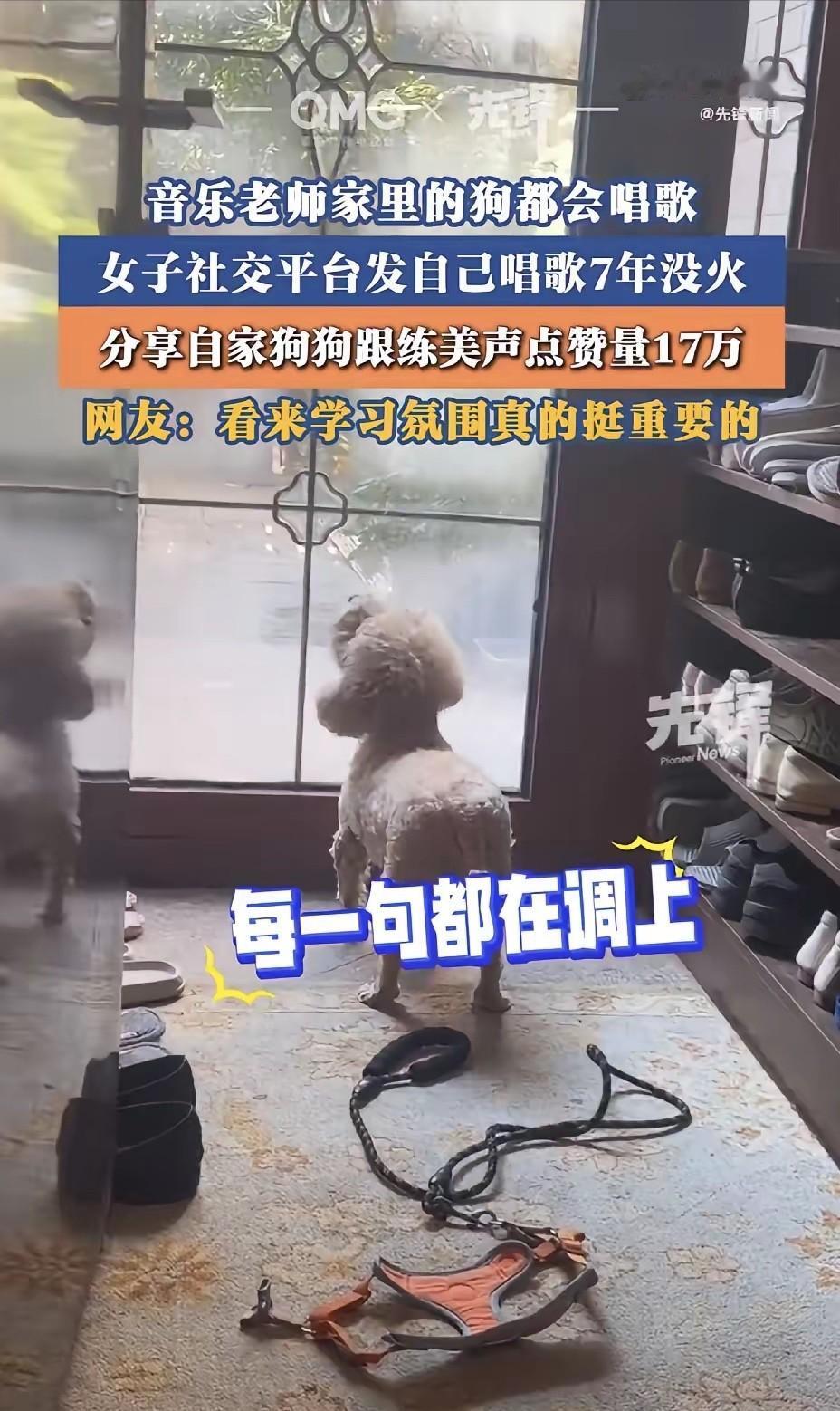 上海，一位音乐老师，发了7年自己的唱歌作品，结果一直无人问津，让人万万没想到的是