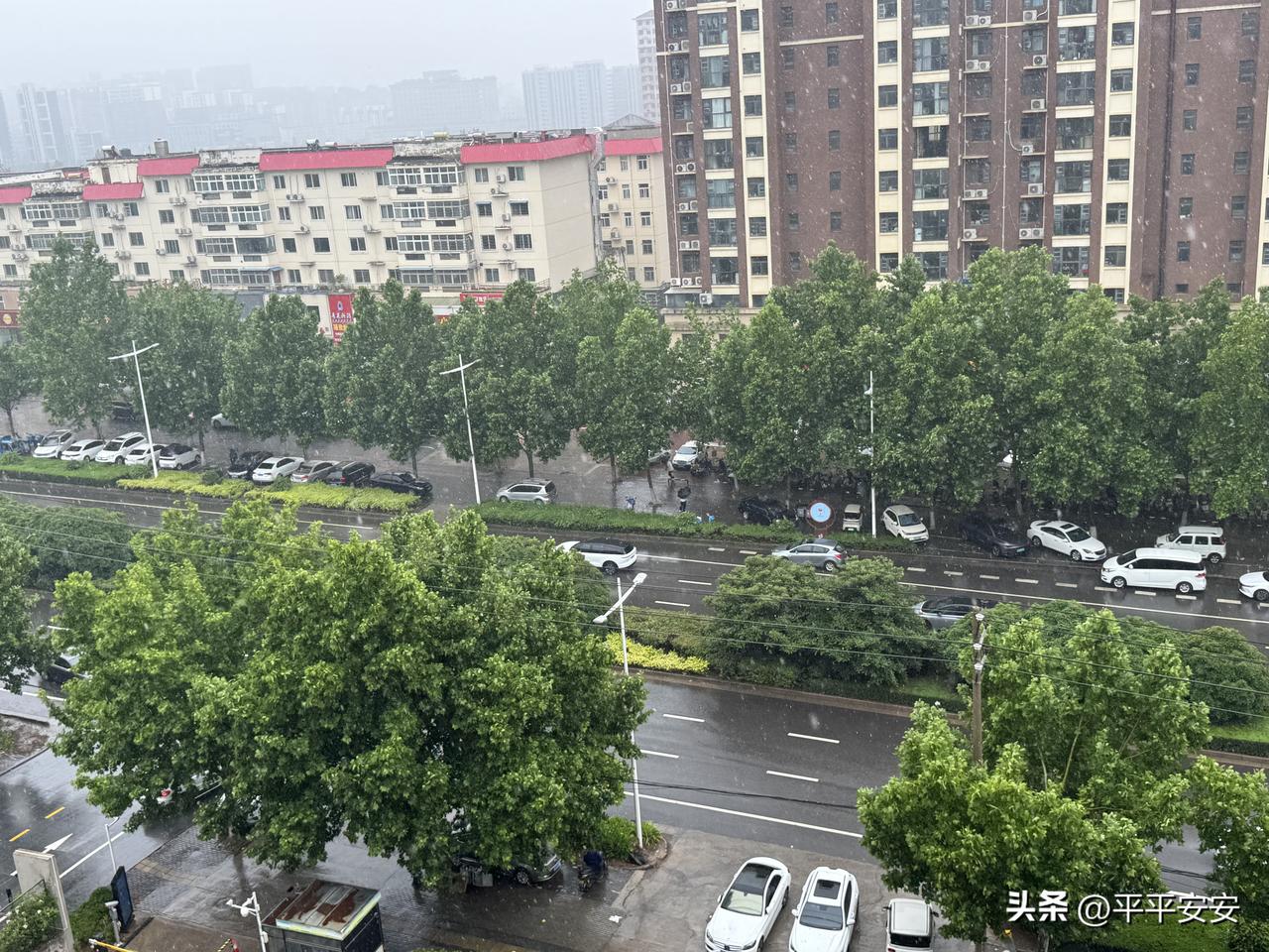 平日里从不会刻意甜言蜜语，却总能把我的喜好记在心底。疲惫归家时总有热饭热汤，情绪