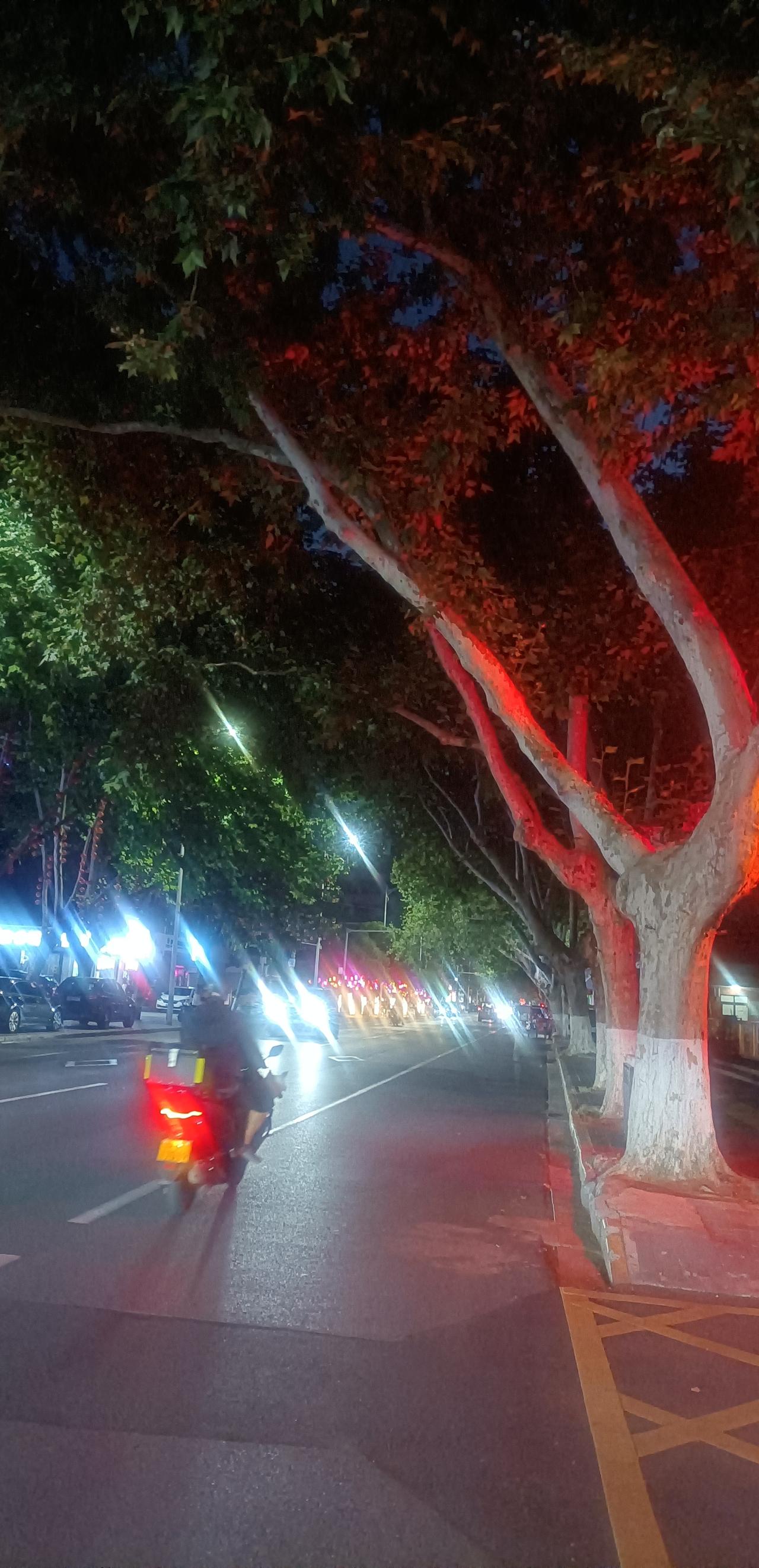 【夏之韵·有些路是回不了头的】记录我的2026
人的一生，
会选择很多条不同的路