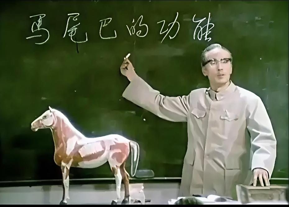 岁以上的人都能看懂这个镜头，並且能脱口说出“马尾巴的功能”！