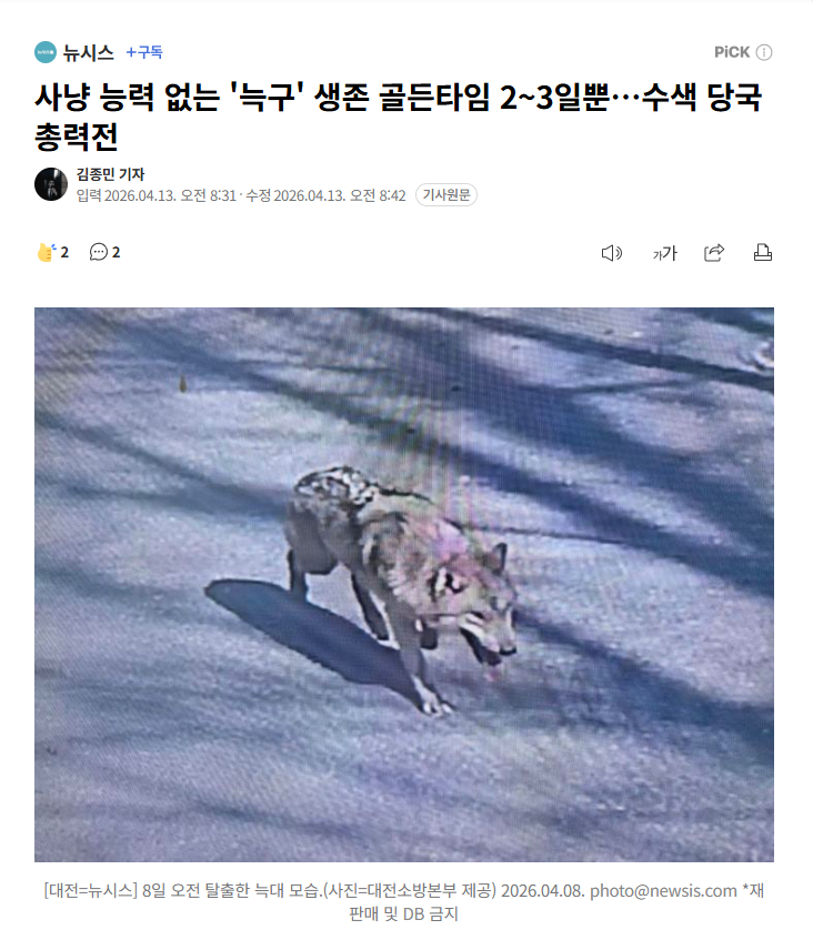 【韩国大田逃跑雄性狼生存黄金时间仅剩2-3天，搜救部门全力展开总攻势】海外新鲜事