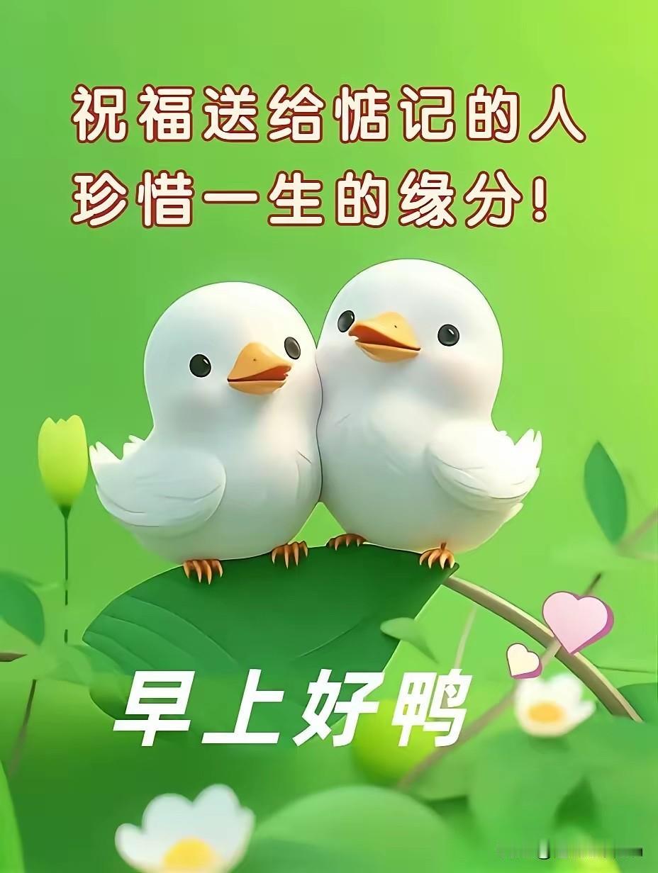 爱你的人
见到你就想拥抱你
吻你抚摸你
总也看不够
这不是耍流氓
而是太爱你啦