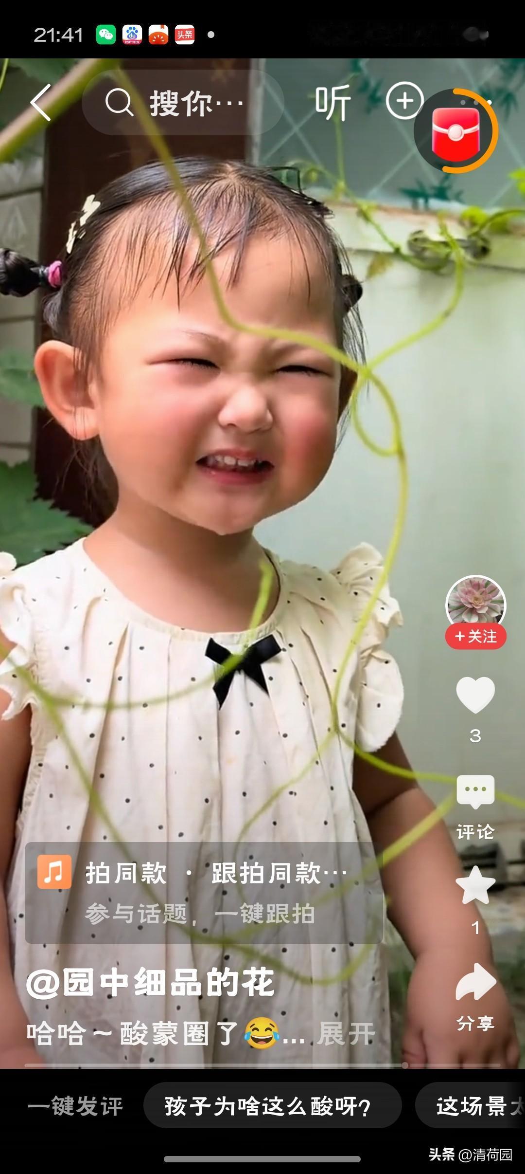 小女孩偷摘未成熟葡萄酸到五官扭曲「纸上谈葡萄千百遍，不如亲尝一口酸到五官坍缩——
