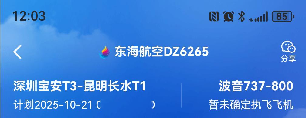 第一次坐东海航空，也是第一次听说，代号是DZ，订票的朋友问我，你怎么坐动车回去[