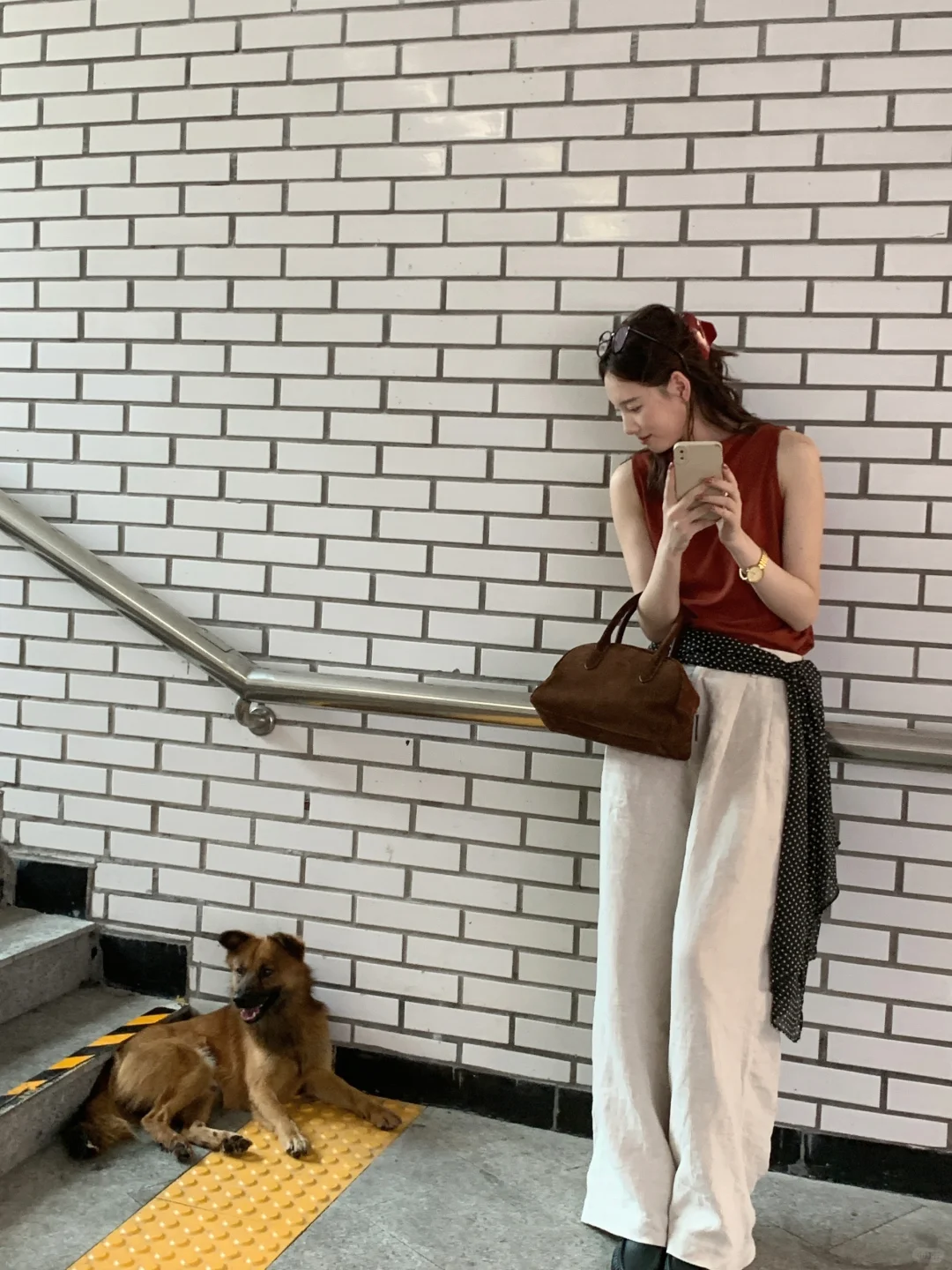 偶遇可爱小狗🐕