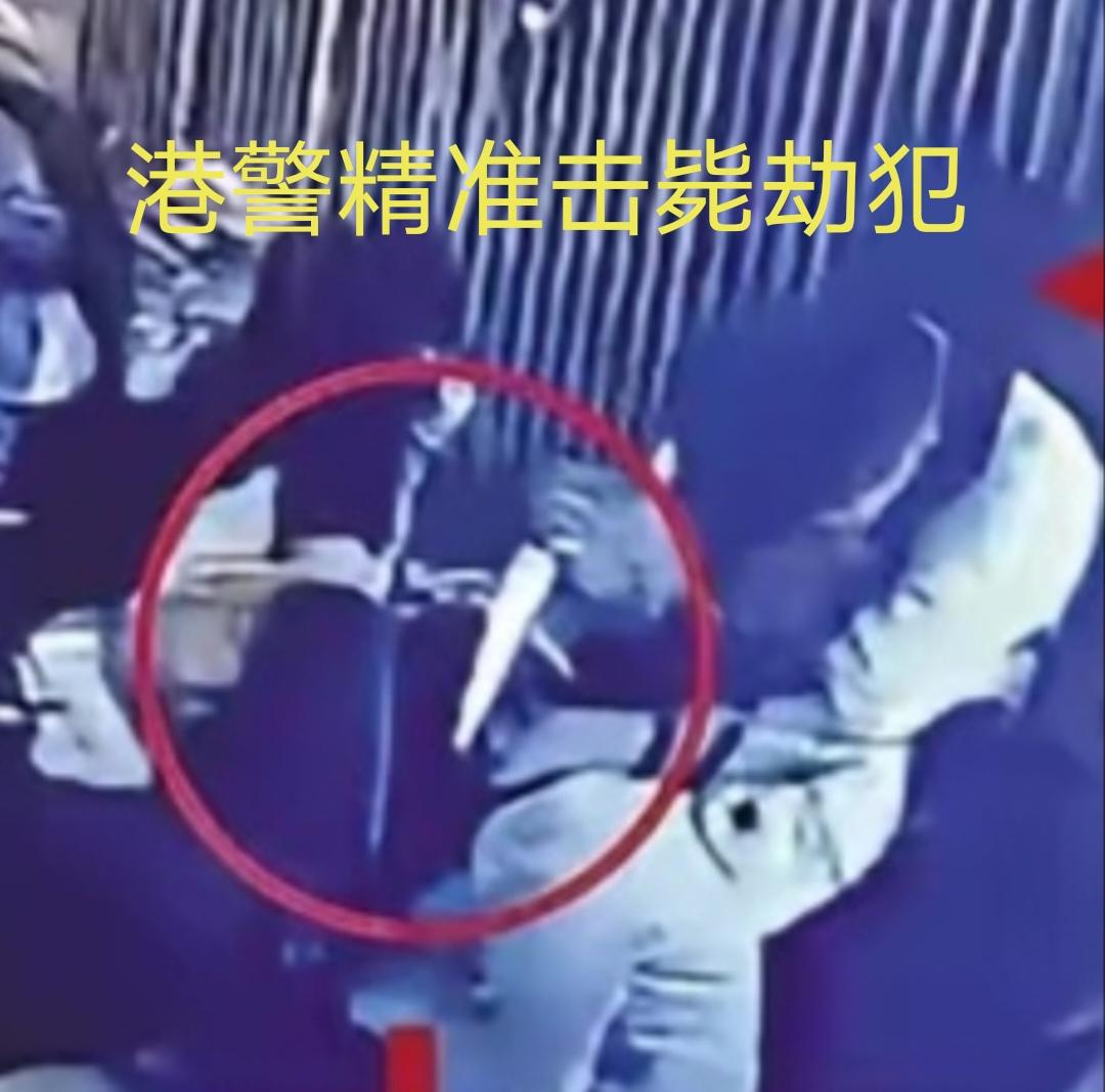 越南裔劫犯举刀准备刺伤人质时，被港警正当防卫精确击毙！