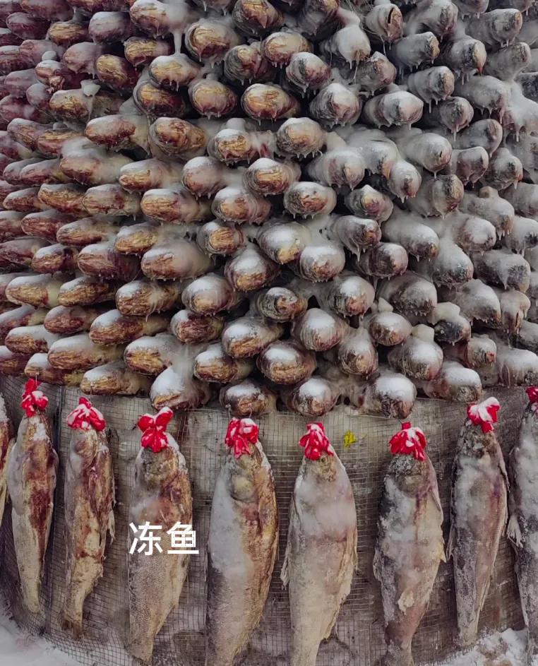 东北人喜欢冰冻的5种食物：
第1:冻鱼
东北人冬天的时候把鱼就放在室外，鱼被冻的