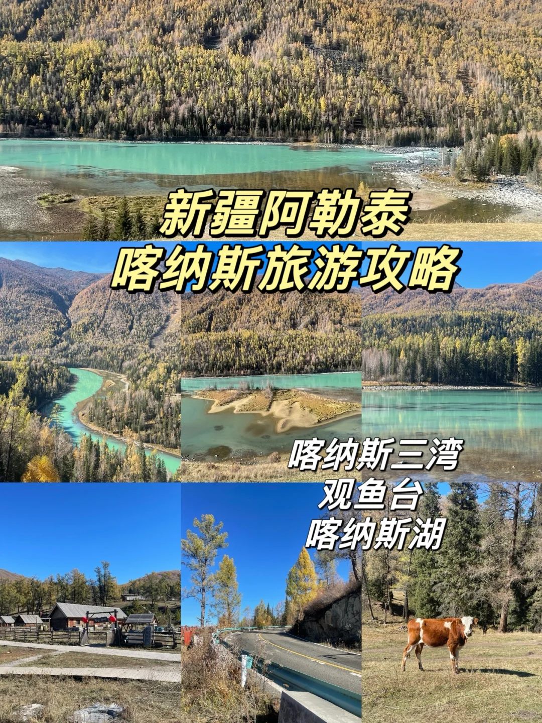 🍂阿勒泰的秋｜喀纳斯人间净土｜神的后花园❤️