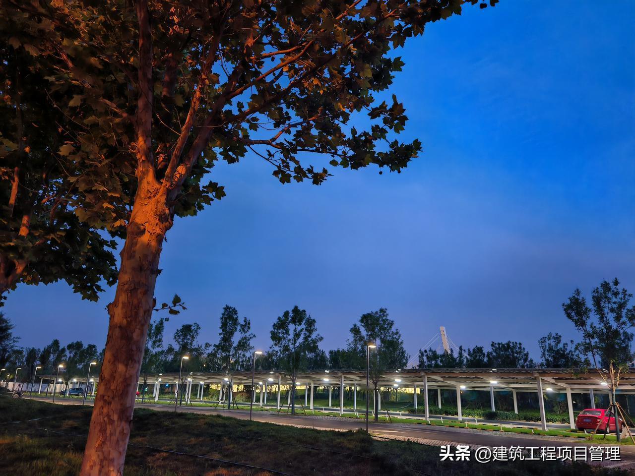 天津市又一大公园建成开放，是天津市民2026年又一个休闲娱乐的好去处，尤其适合退