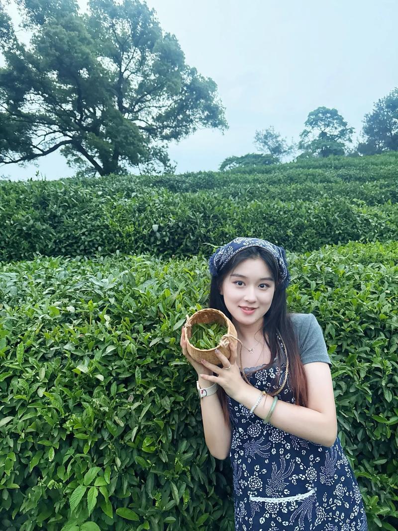 茶山春色醉人，采茶姑娘身姿轻盈，指尖灵动，人美茶香，一眼治愈所有疲惫。