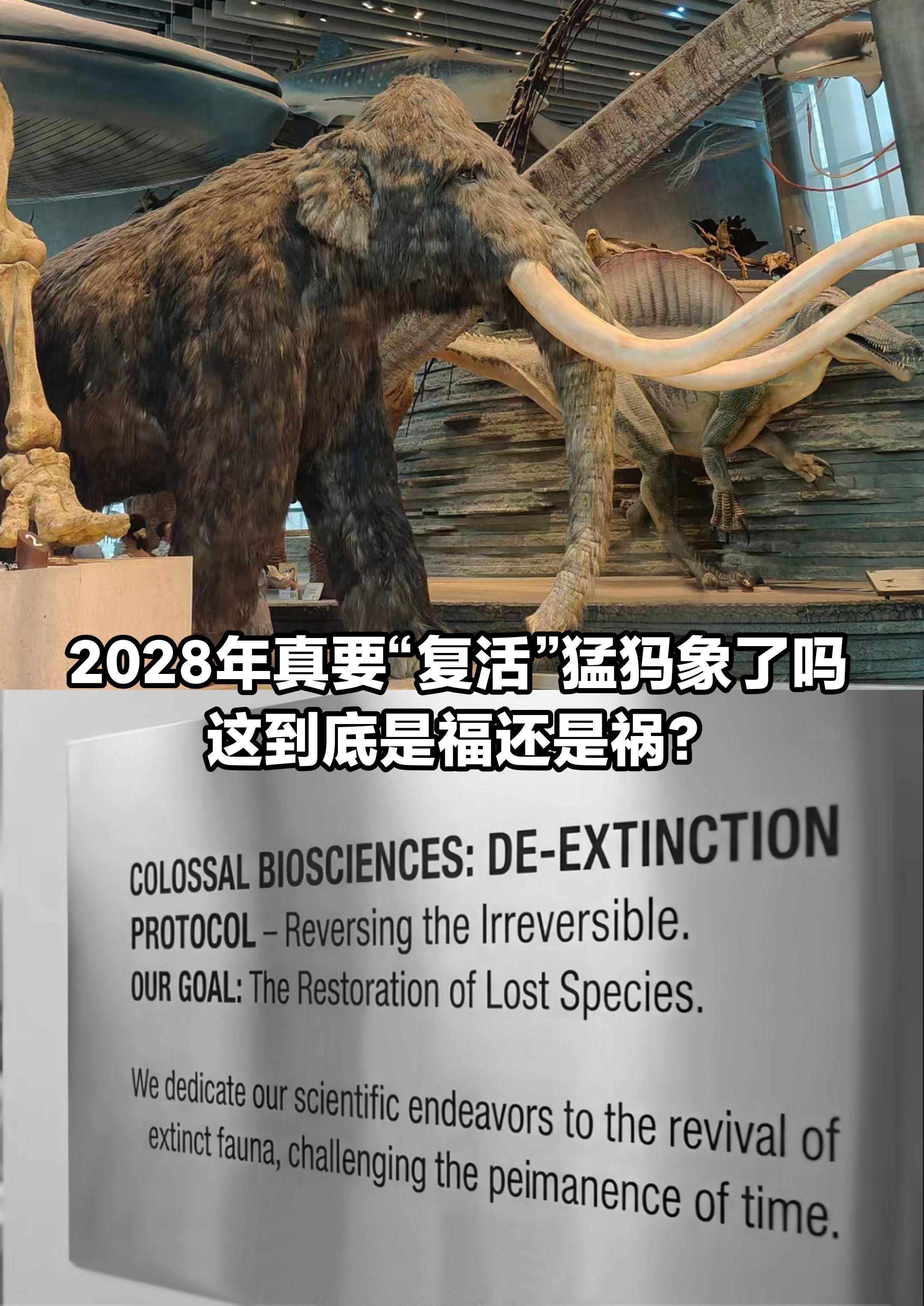 猛犸象如果真的“复活”了，是福还是祸？