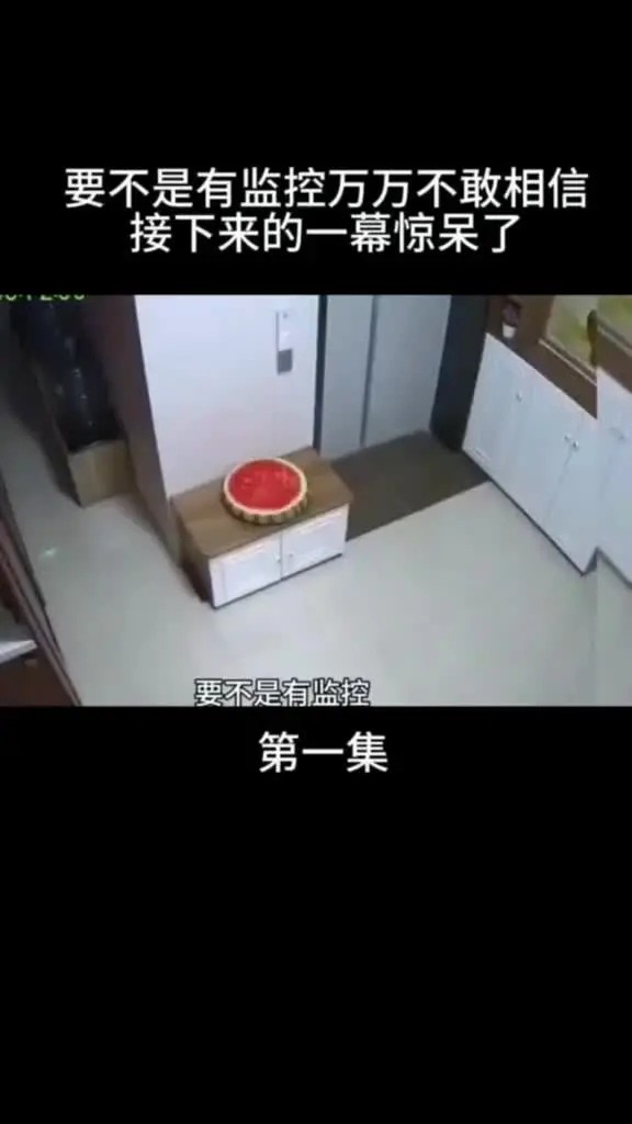 监控下的一幕