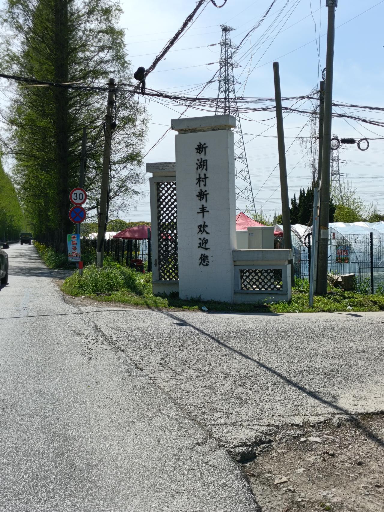 刨韭菜去了。
瞧见邻居从乡下刨回来的韭菜，那般新鲜，那般繁茂，我不禁心生好奇。