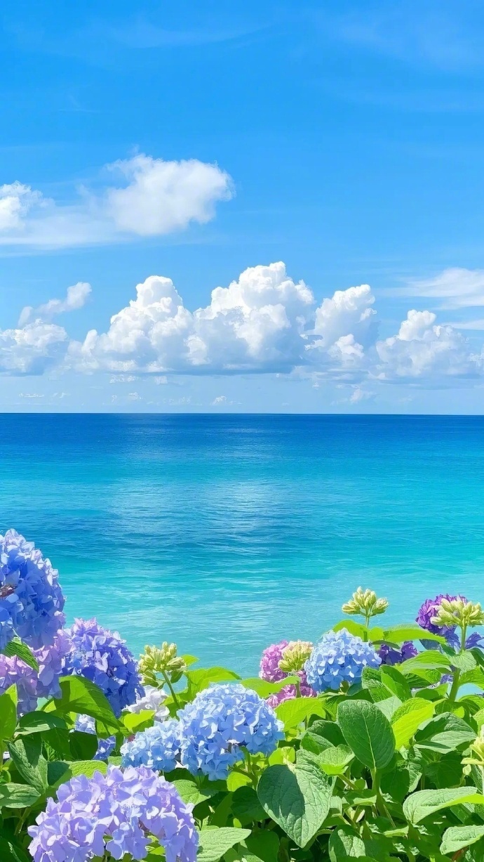 夏日的午后 摄影