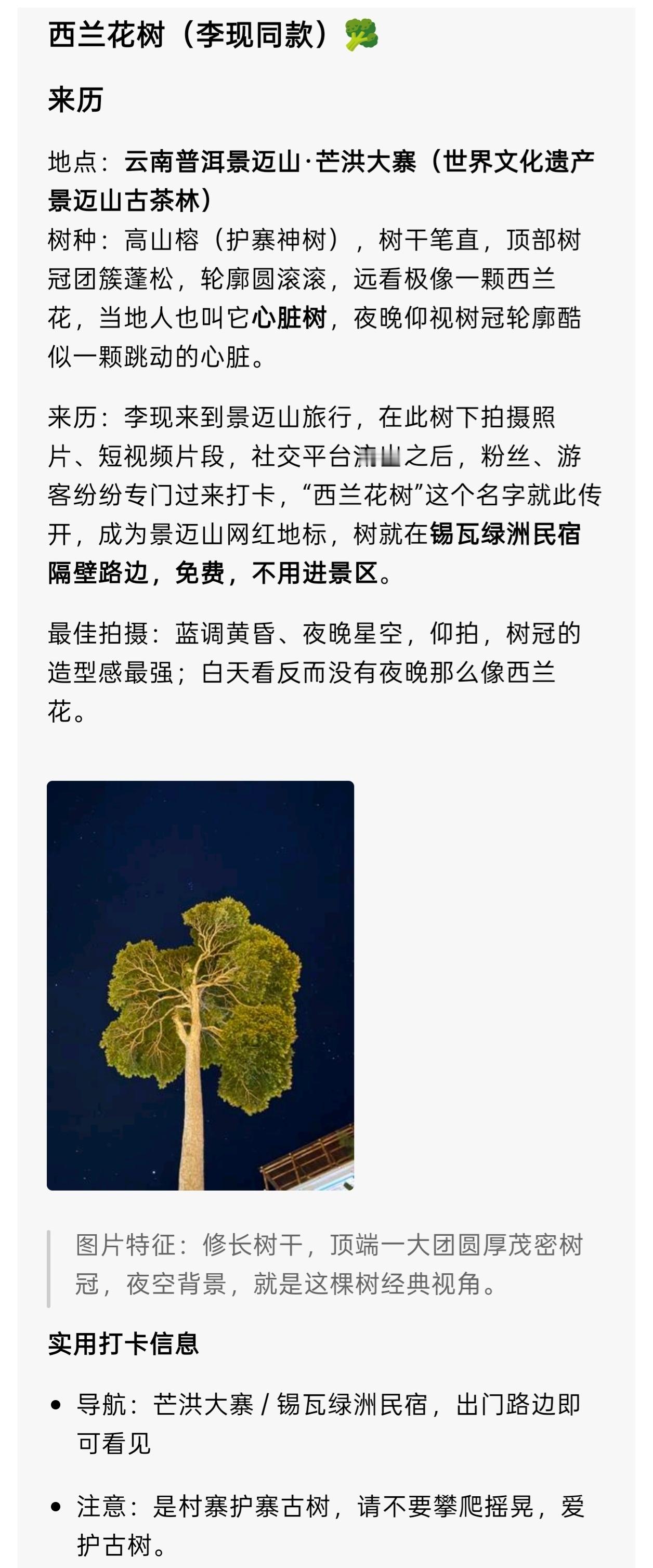 李现现在见山海 这颗本身平平无奇的树，李现打卡后也火了，成为景迈山网红地标的“西