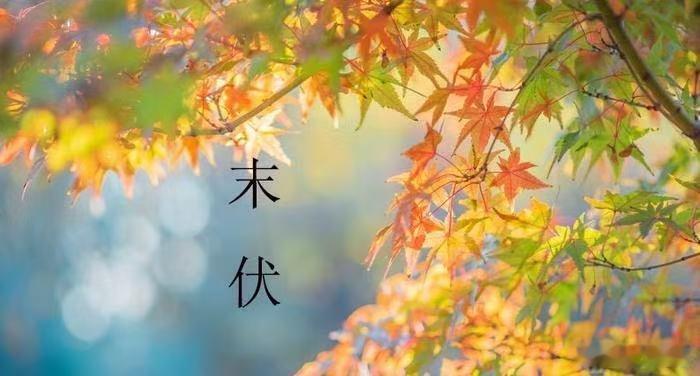 广东人的清凉感回来了广东的秋包伏杀伤力十足，明明快入秋，却依旧闷热难耐。风油精随