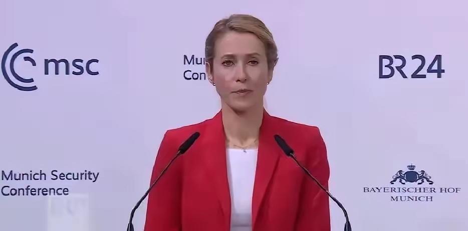 笑死人，美国主持人接触欧盟外长后吐槽称“我不理解为什么这么愚蠢的人竟还能在欧洲当
