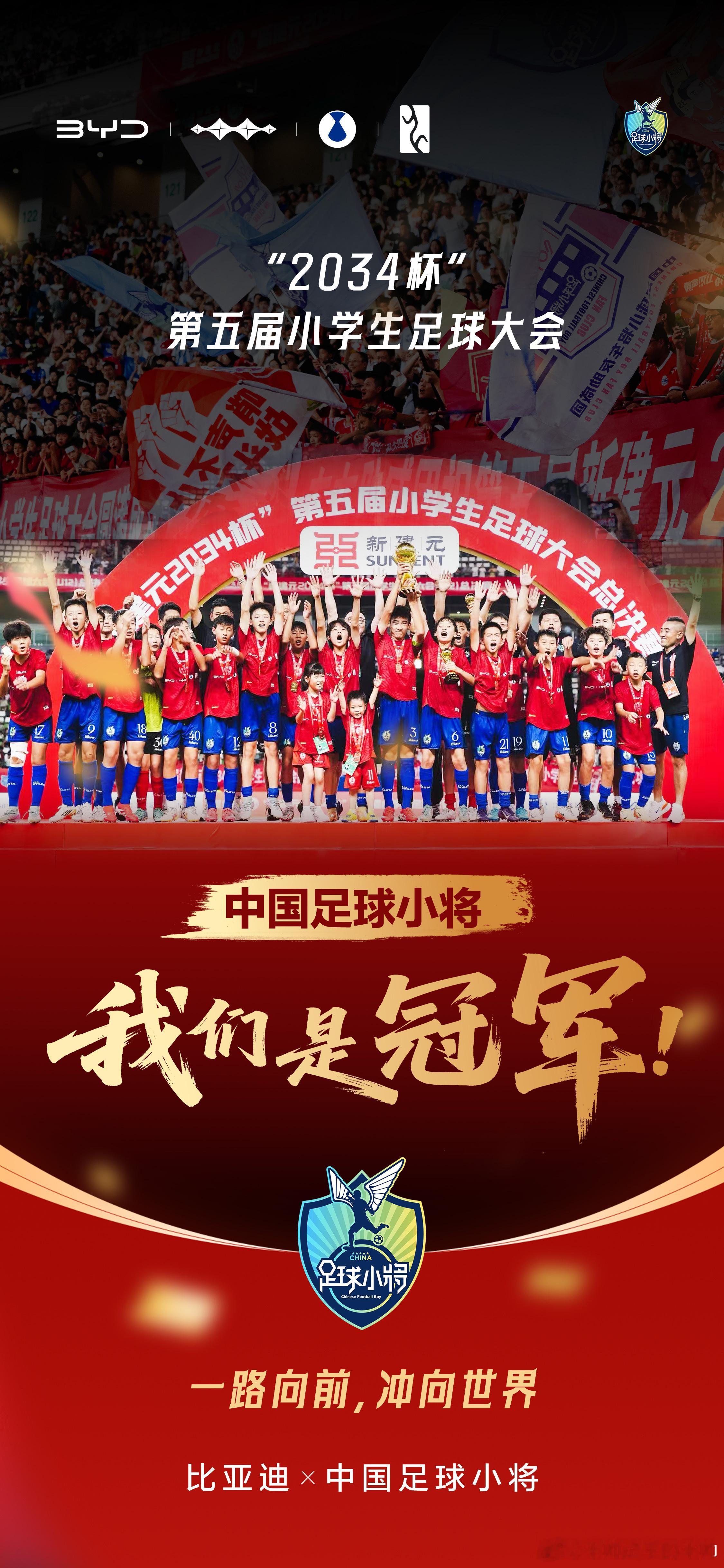 最近比亚迪又被“网暴”了，又一次展示了什么叫做“风波中的坚守与不易”！我真的看不