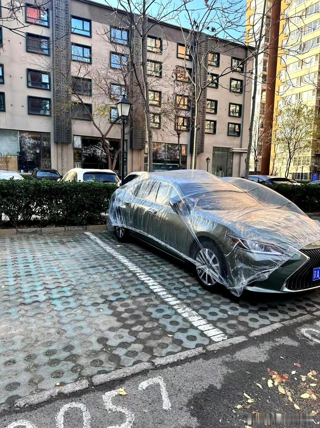 网友：你说车主讲究吧，确实有一点。你说车主爱车吧，感觉又差一点。。。[捂脸]