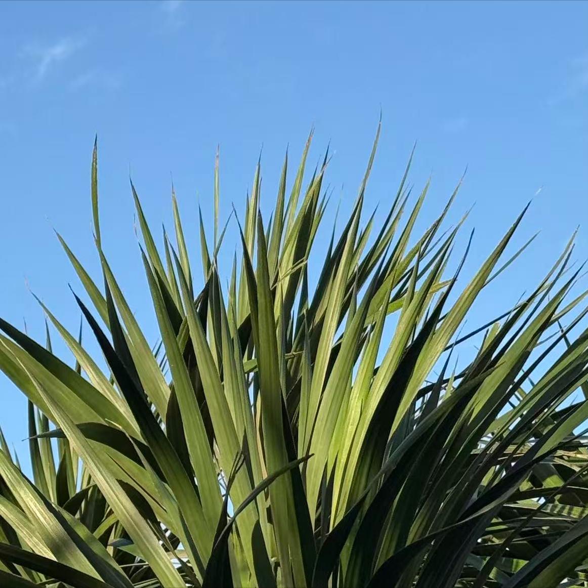 12月5日，一条关于信阳人大原官员的信息发布。
 
该信息是事关李高岭的。
 