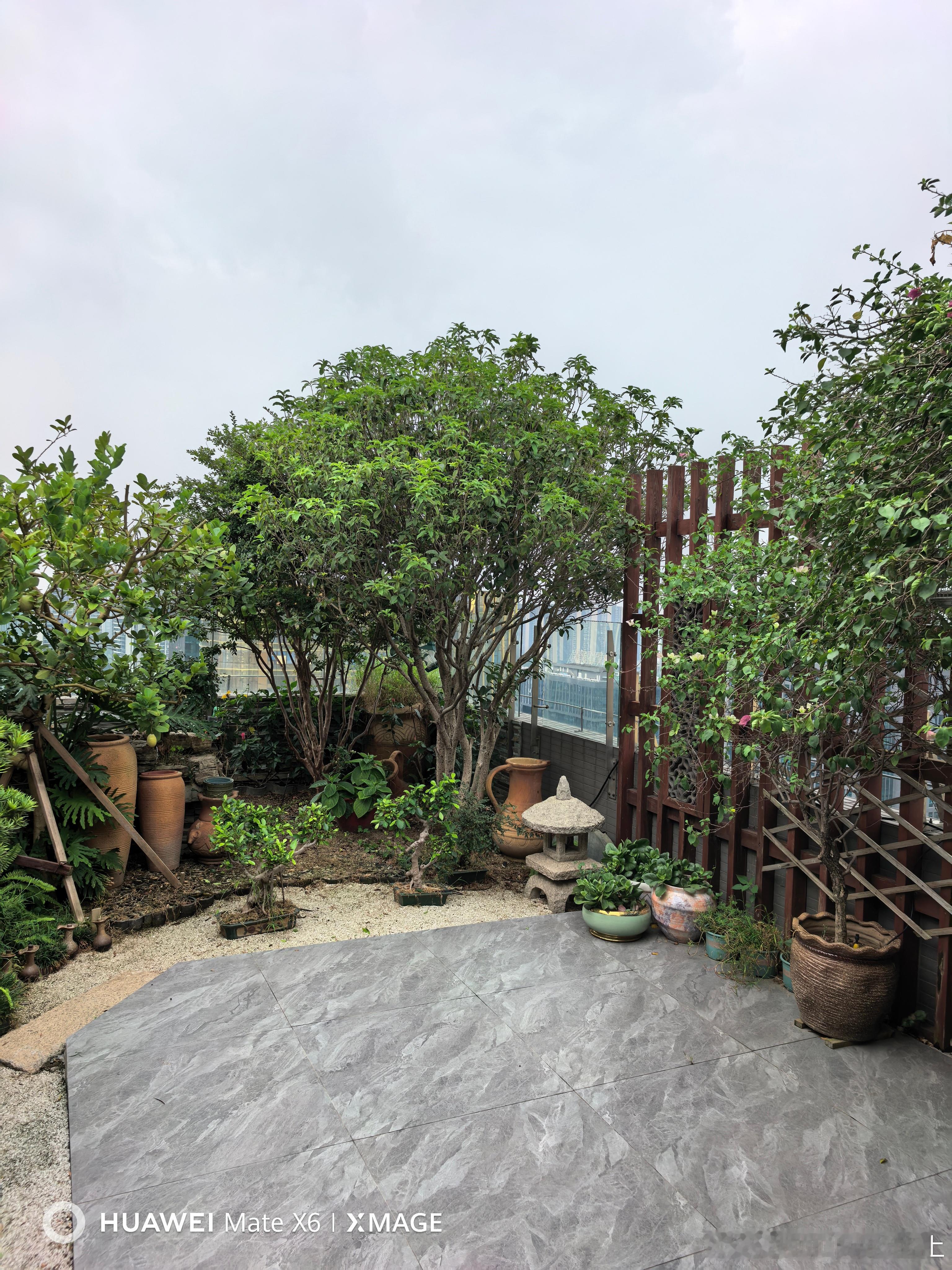 躬耕庭院，亲手修剪打理，历经暑热辛劳，换来眼前这满目芳华。生活手记