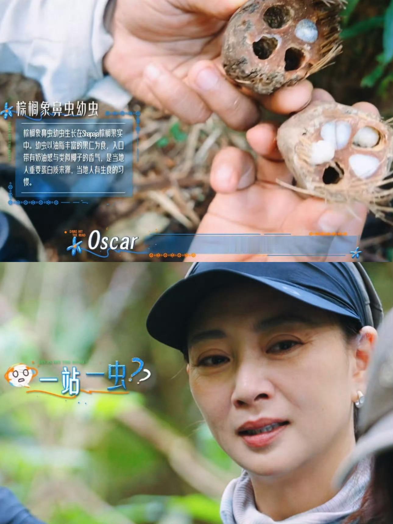 殷桃被邓为吓出闪身步花儿与少年邓为摸完蚂蚁兴冲冲奔赴殷桃，一心想要分享大自然的小