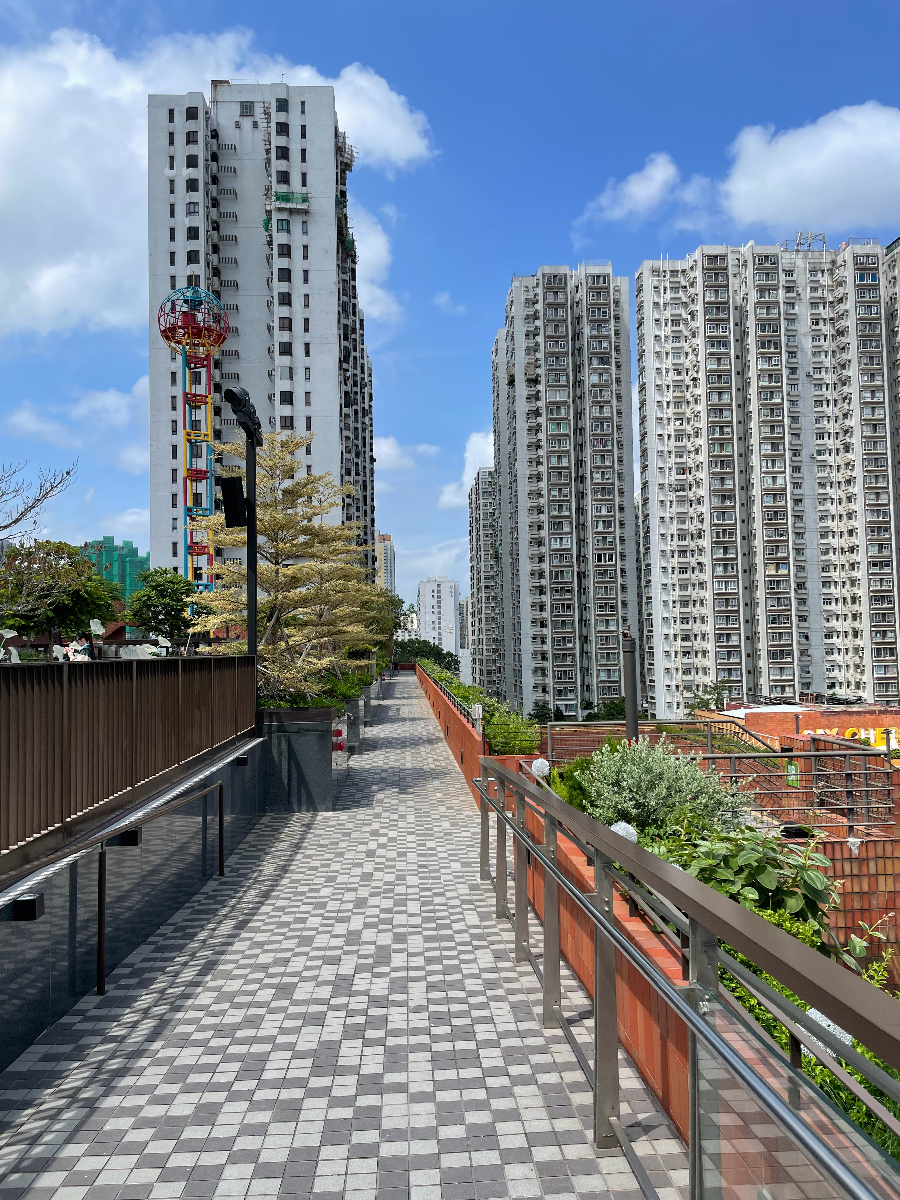 今天天气很好，心情也很好，上午开完会也没困🌤️ 