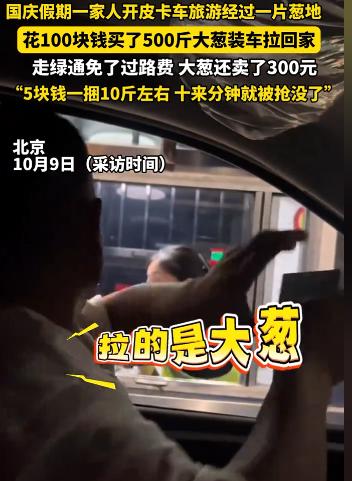 北京，一男子开皮卡车带家人到承德游玩，路过一片葱地，得知只要2毛1斤后，就花10
