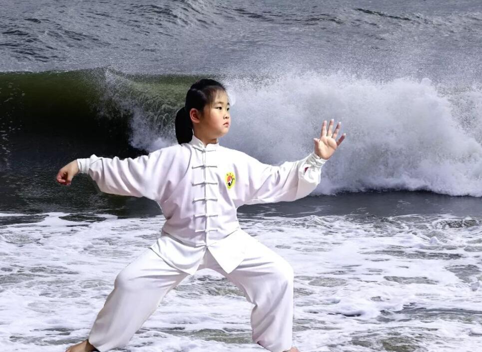 传统武术中最值得学的是哪一种？咏春？白眉拳？鹰爪功？少林拳？黑龙十八手？传统武术