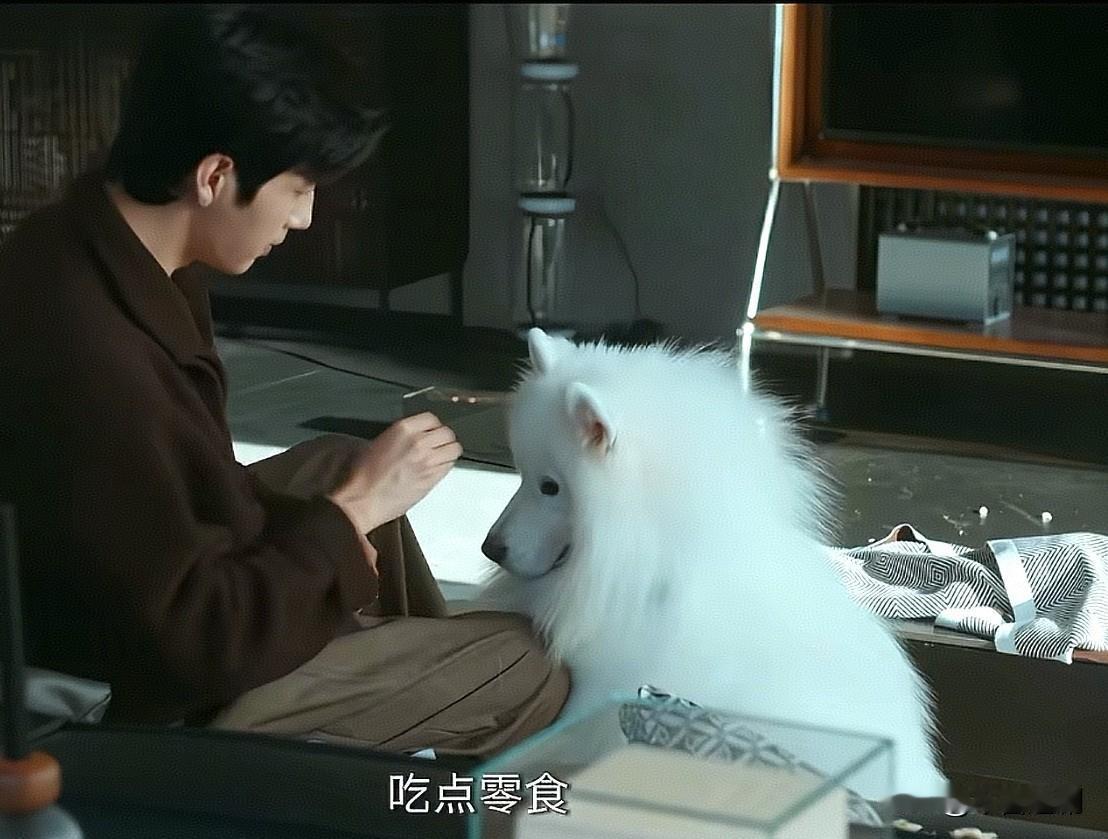卢克拆了Luke 的家，Luke最后还关心的不行，真的爱桃及狗啊。
上一秒:卢克