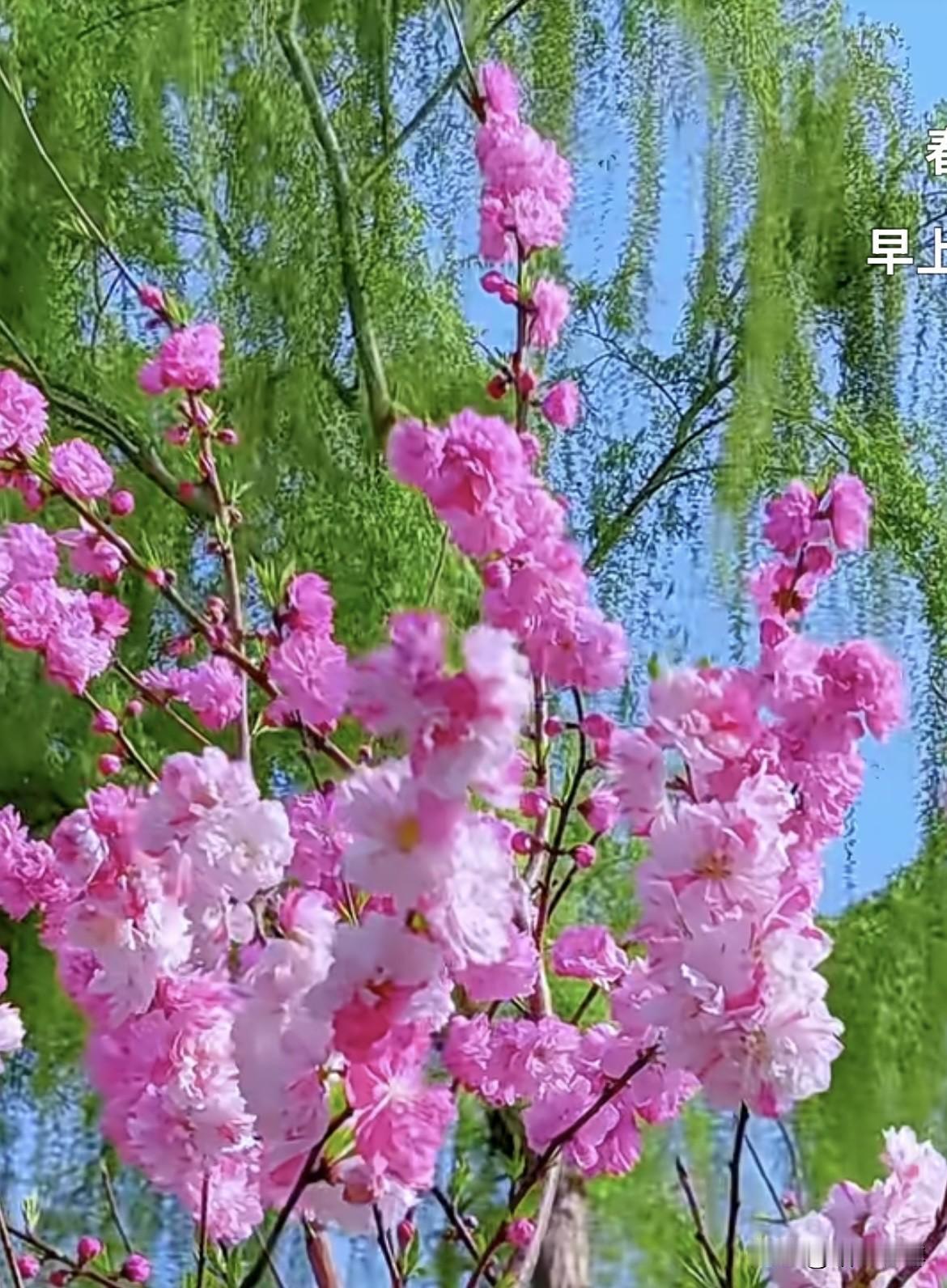 上联：细雨慢敲池中莲
  下联：垂杨闲送陌上花