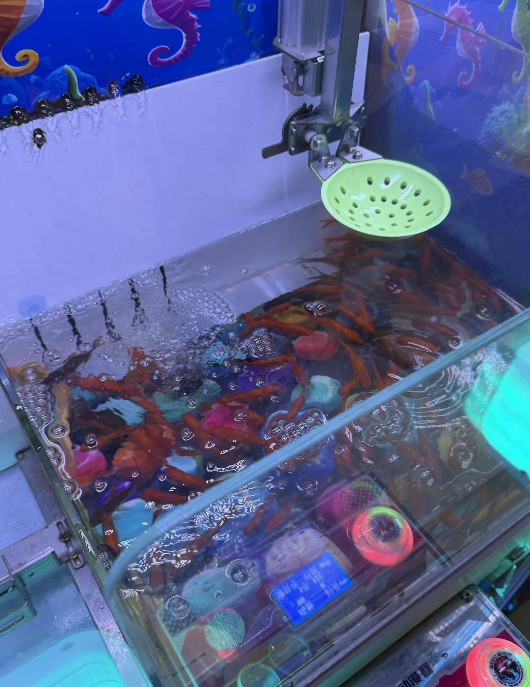 现在抓娃娃已经进化到这种程度了吗。。。
抓金鱼都有了娃娃机 不是很懂但大为震撼 