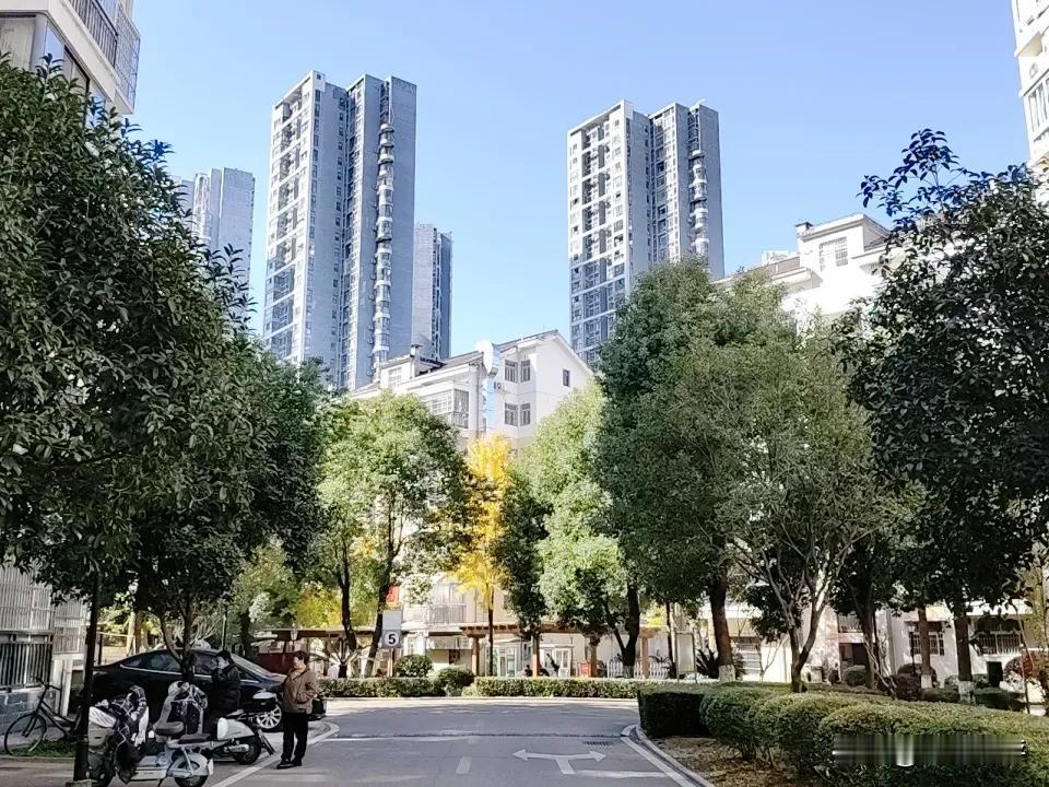 当前的社会有几个典型特征，大龄单身的人群越来越多，离异带娃的越来越多，而且逐步呈