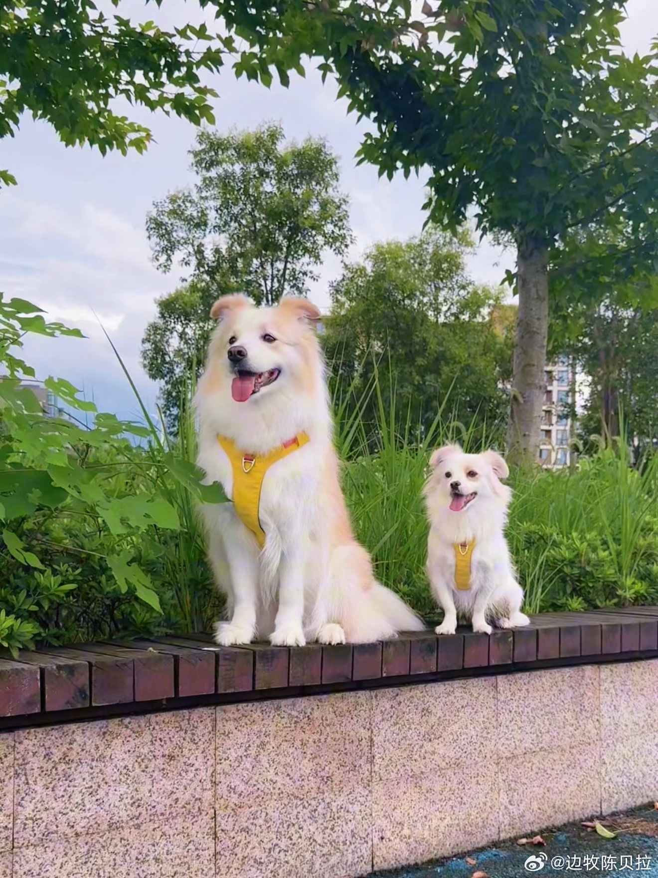 台风就这样悄咪咪过去了 
