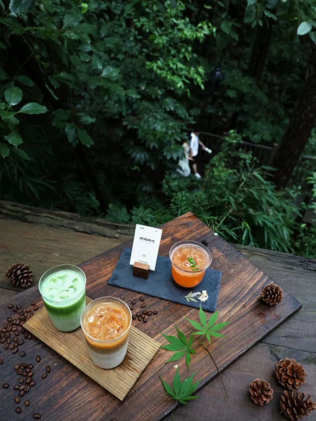 黄山!超绝松弛感咖啡☕️!在森林里